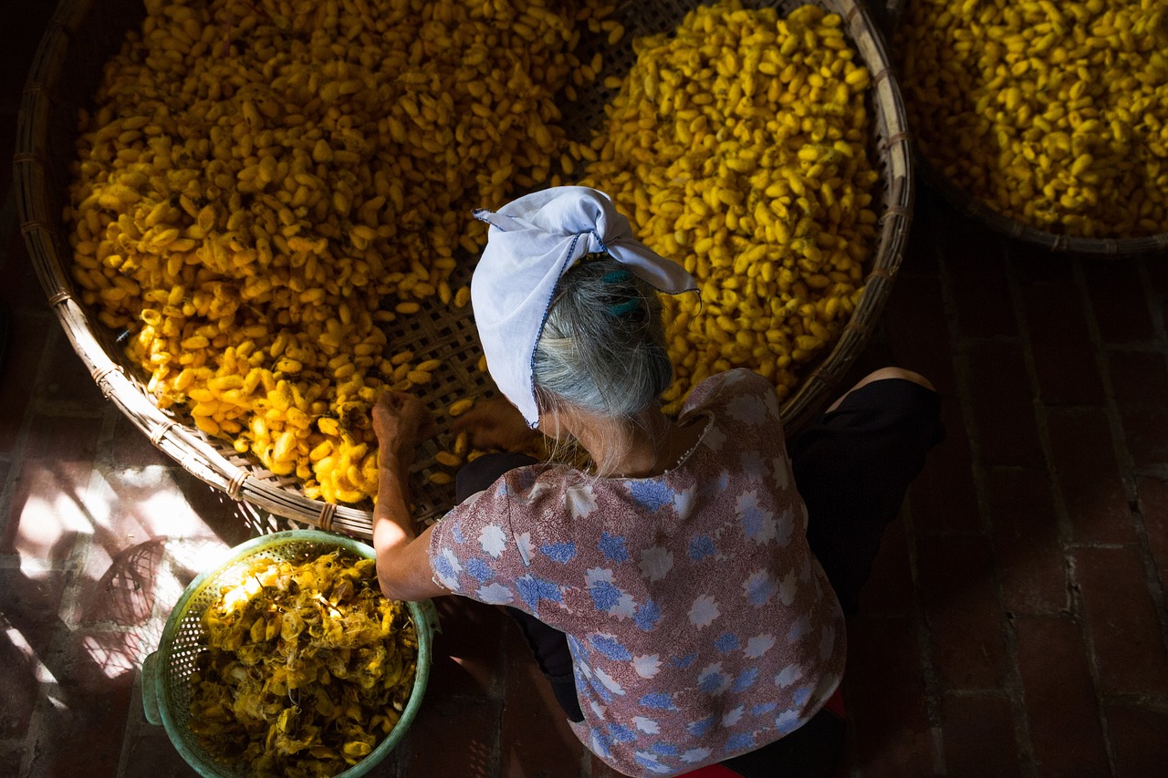The Secrets of the Ancient Silk Road Trade